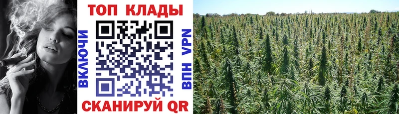 Как найти закладки Асино ГАШИШ  Cocaine  Альфа ПВП  Каннабис  Галлюциногенные грибы  Мефедрон 