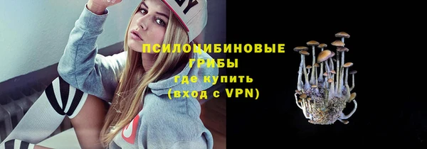ешки Алзамай