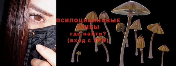 ешки Алзамай