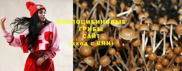 a pvp Алексеевка