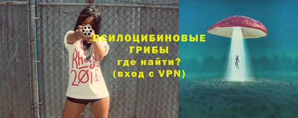 ECSTASY Алексин