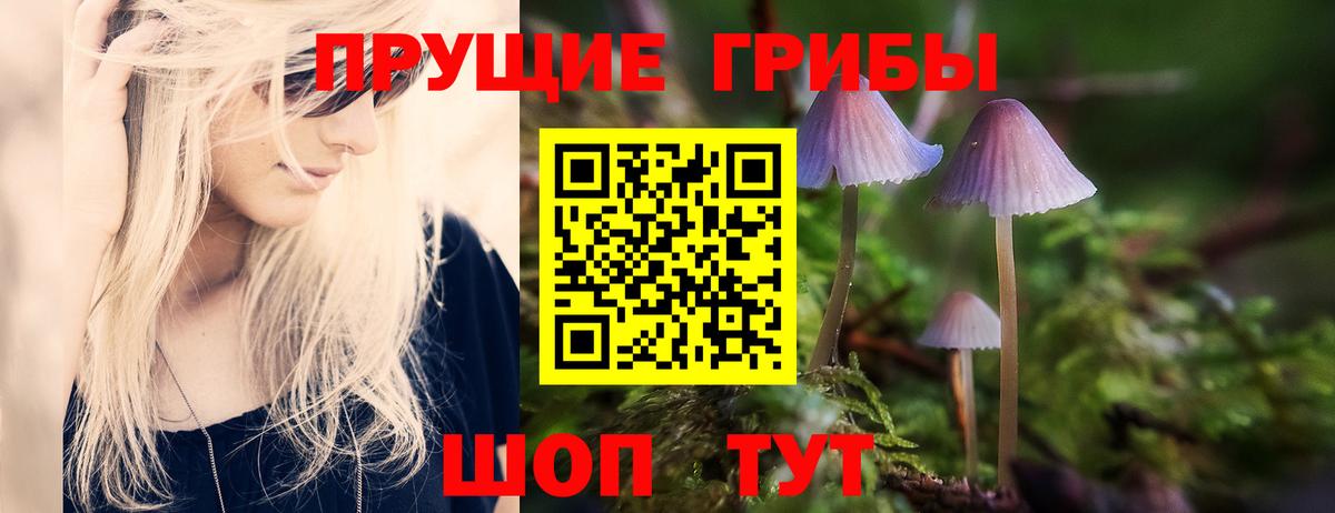 купить закладку  Вход с VPN  Асино  Псилоцибиновые грибы Psilocybe 