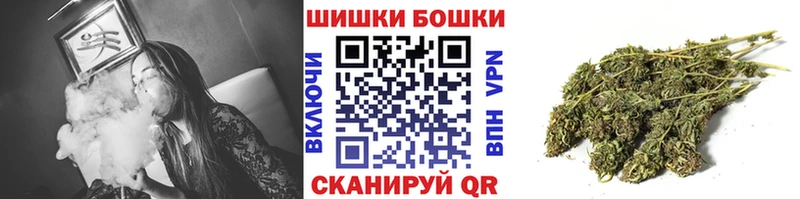 где купить наркоту  Асино  Бошки марихуана индика 